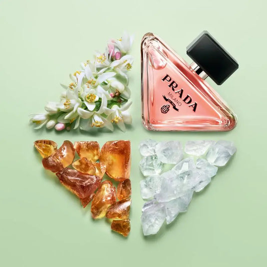 Prada paradoxe